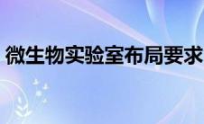 微生物实验室布局要求（微生物实验室布局）