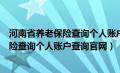 河南省养老保险查询个人账户查询官网下载（河南省养老保险查询个人账户查询官网）