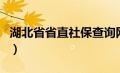 湖北省省直社保查询网（湖北省省直社保查询）