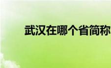 武汉在哪个省简称（武汉在哪个省）