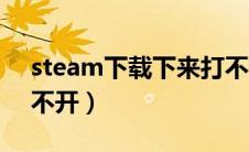 steam下载下来打不开（steam下载之后打不开）