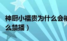 神厨小福贵为什么会被禁播（神厨小福贵为什么禁播）