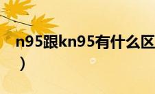 n95跟kn95有什么区别（n95和kn95的区别）