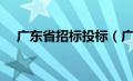 广东省招标投标（广东省招投标信息网）