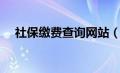 社保缴费查询网站（社保缴费查询系统）