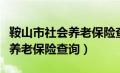 鞍山市社会养老保险查询（鞍山市社保局个人养老保险查询）