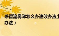 感冒流鼻涕怎么办速效办法土方法（感冒流鼻涕怎么办速效办法）