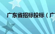 广东省招标投标（广东省招投标信息网）