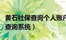 黄石社保查询个人账户查询（黄石市社保个人查询系统）