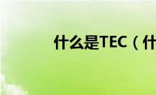 什么是TEC（什么是Techno）