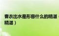 曹衣出水是形容什么的精湛（曹衣出水形容哪种艺术形式的精湛）