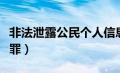 非法泄露公民个人信息罪（泄露公民个人信息罪）