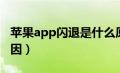 苹果app闪退是什么原因（app闪退是什么原因）