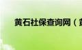 黄石社保查询网（黄石社保查询系统）