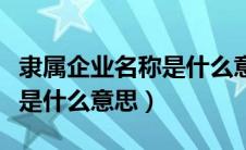 隶属企业名称是什么意思年报（隶属企业名称是什么意思）