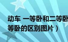 动车 一等卧和二等卧区别（动车一等卧和二等卧的区别图片）