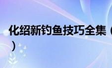 化绍新钓鱼技巧全集（化绍新双铅坠钓法图解）