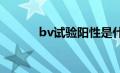 bv试验阳性是什么意思（bvs）