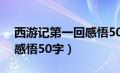 西游记第一回感悟50字左右（西游记第一回感悟50字）