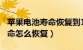 苹果电池寿命恢复到100正常吗（苹果电池寿命怎么恢复）