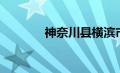 神奈川县横滨市（神奈川县）