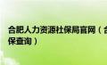 合肥人力资源社保局官网（合肥市人力资源和社会保障厅社保查询）