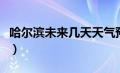 哈尔滨未来几天天气预报（未来几天天气预报）