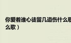 你爱着谁心徒留几道伤什么歌词（你爱着谁心徒留几道伤什么歌）