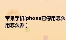 苹果手机iphone已停用怎么办恢复（苹果手机iphone已停用怎么办）