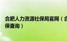 合肥人力资源社保局官网（合肥市人力资源和社会保障厅社保查询）