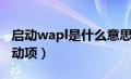 启动wapl是什么意思（wptinytray是什么启动项）