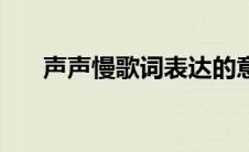 声声慢歌词表达的意思（声声慢歌词）