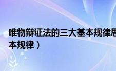 唯物辩证法的三大基本规律思维导图（唯物辩证法的三大基本规律）