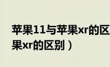 苹果11与苹果xr的区别是什么（苹果11与苹果xr的区别）