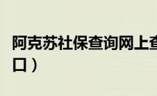 阿克苏社保查询网上查询（阿克苏社保查询入口）