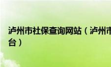 泸州市社保查询网站（泸州市社会保险统一征收信息管理平台）