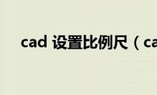 cad 设置比例尺（cad怎样设置比例尺）