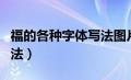 福的各种字体写法图片大全（福的各种字体写法）