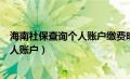 海南社保查询个人账户缴费明细查询官网（海南社保查询个人账户）