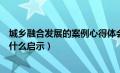 城乡融合发展的案例心得体会（从城乡融合发展的案例得到什么启示）