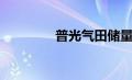 普光气田储量（普光气田）