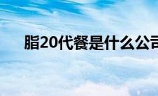 脂20代餐是什么公司（脂20代餐价格）