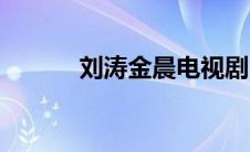 刘涛金晨电视剧（金晨电视剧）