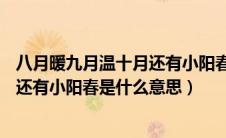 八月暖九月温十月还有小阳春的意思是（八月暖九月温10月还有小阳春是什么意思）