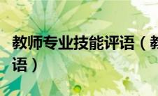 教师专业技能评语（教师专业技术水平方面评语）