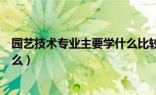 园艺技术专业主要学什么比较吃香（园艺技术专业主要学什么）