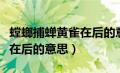 螳螂捕蝉黄雀在后的意思故事（螳螂捕蝉黄雀在后的意思）