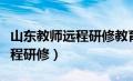 山东教师远程研修教育登录入口（山东教师远程研修）