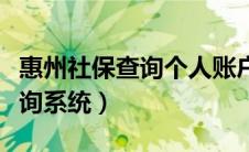 惠州社保查询个人账户查询（惠州社保个人查询系统）