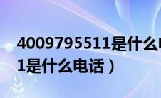 4009795511是什么电话号码（4009795511是什么电话）